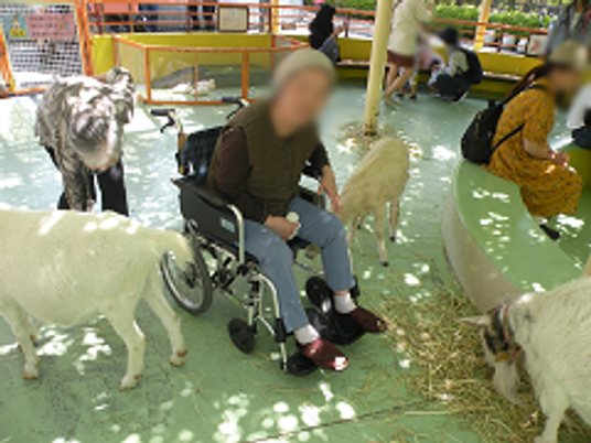 動物と触れ合う場所