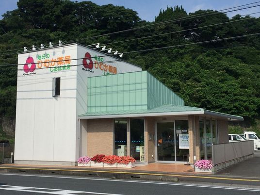 薬局の外観  