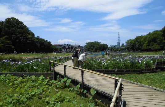 外で楽しむ様子