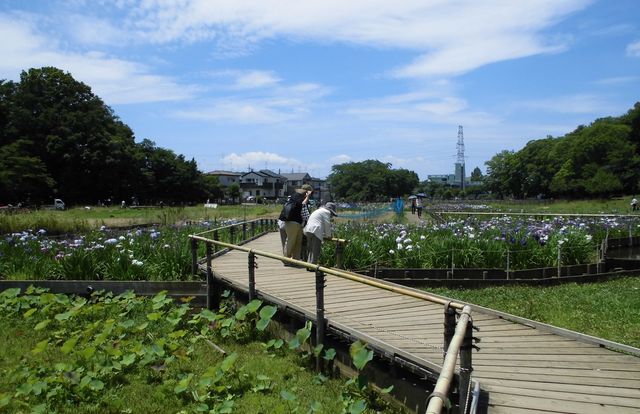 外で楽しむ様子 庭 広々とした庭園を歩きながら、心地よい自然を満喫できます。リラックスしたひとときを提供します。