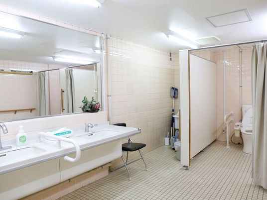 左側には、大きな鏡の付いた洗面台が設置されている。右奥に広いトイレがあり、カーテンで仕切りする造りになっている。