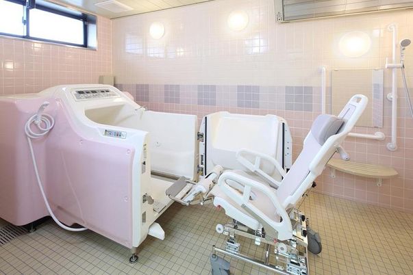 緑豊かな庭の風景