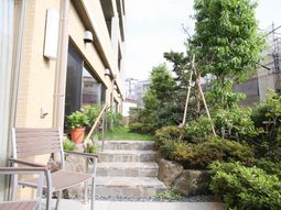 明るい中庭の景色