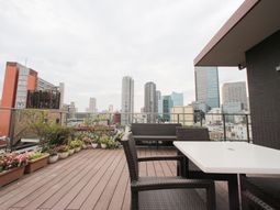 テラスの植物と家具