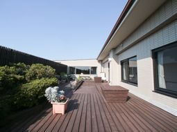 快適な中庭の様子