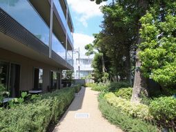 緑豊かな中庭風景
