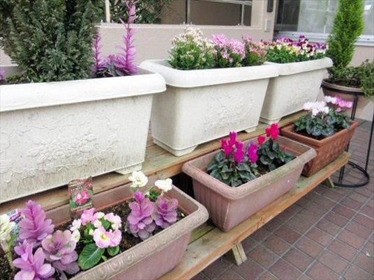色とりどりの花が並ぶ中庭