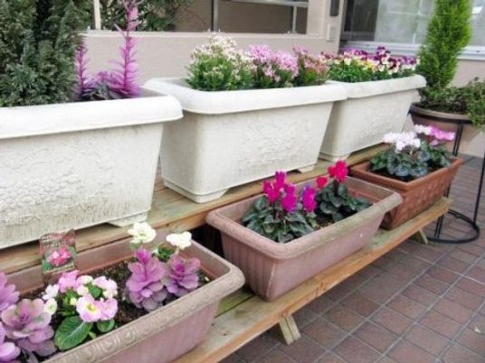 中庭の花壇とベンチ