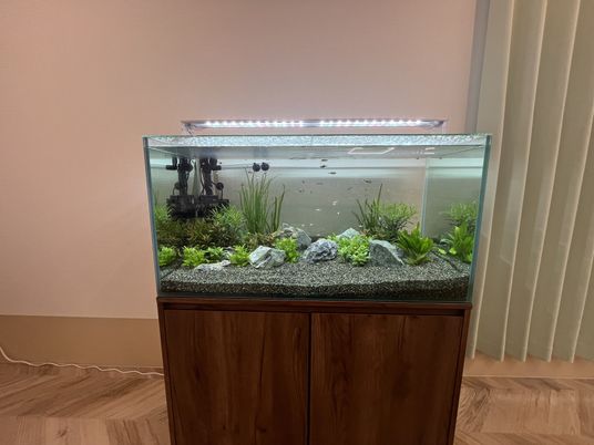 水槽のある部屋