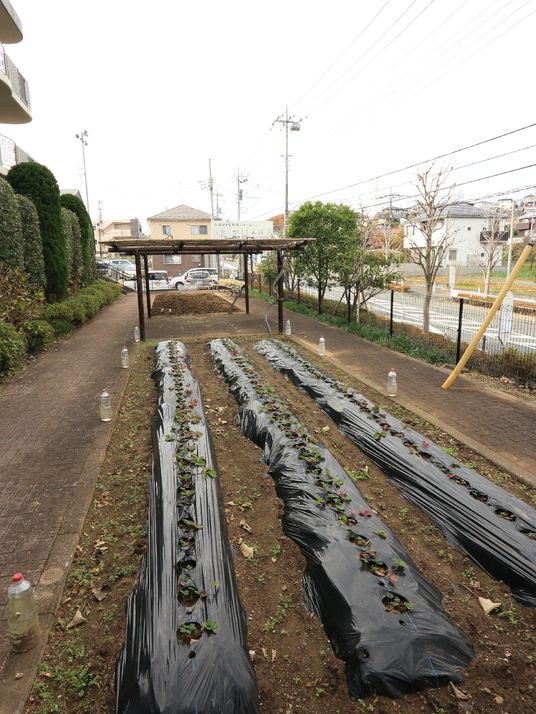 庭付きの屋外施設