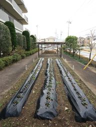 緑化された施設の庭