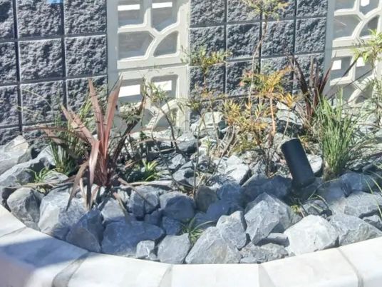 植栽のある庭  