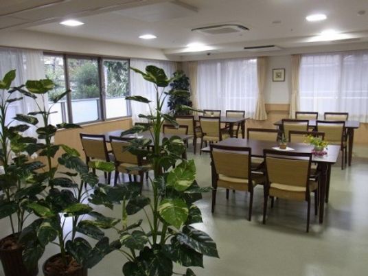 緑豊かな明るい食堂