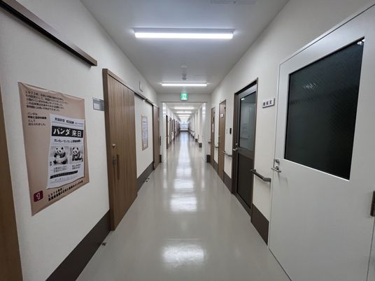 明るい廊下  