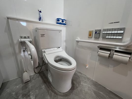 安全な設備のトイレ