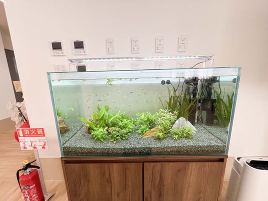 熱帯魚の水槽と壁面機器のある廊下  