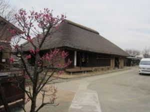 茅葺き屋根の建物外観  