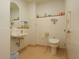 手すり付き清潔なトイレ