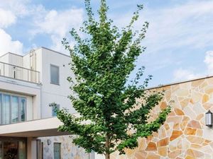 樹木の植えられた外観