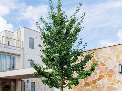 樹木の植えられた外観
