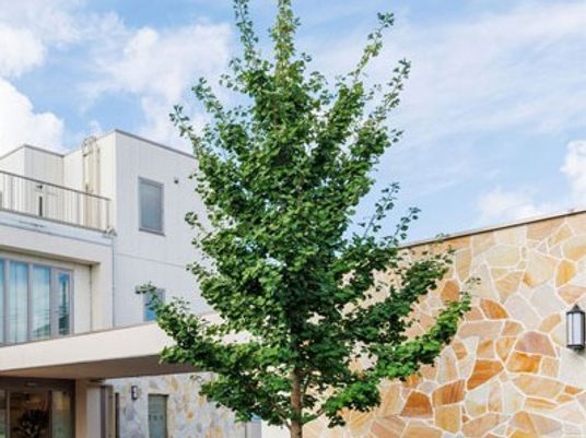 樹木の植えられた外観