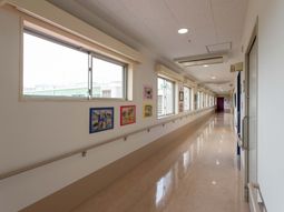 自然光広がる廊下
