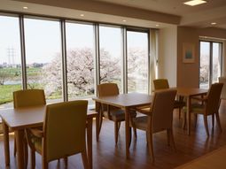 桜並木が見える食堂