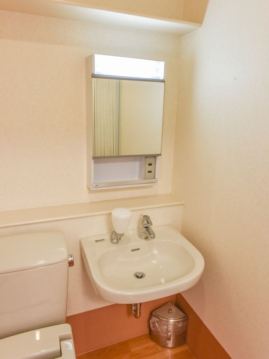 清潔な洗面台とトイレ