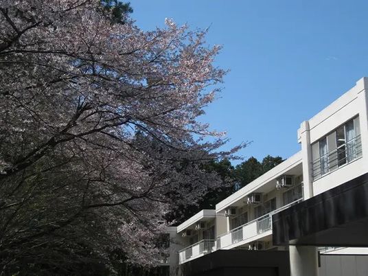 桜と建物の外観  