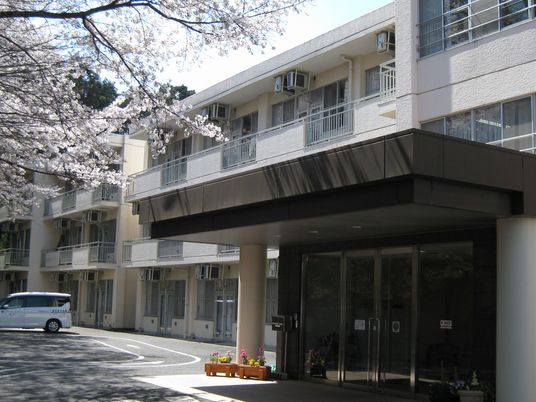 桜に囲まれた外観  