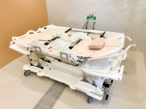 入浴用ストレッチャーの浴室  