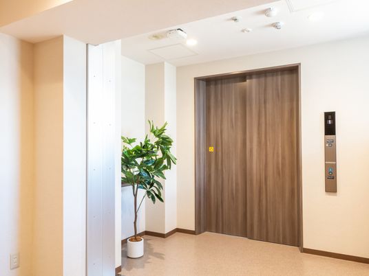 落ち着きのあるエレベーター
