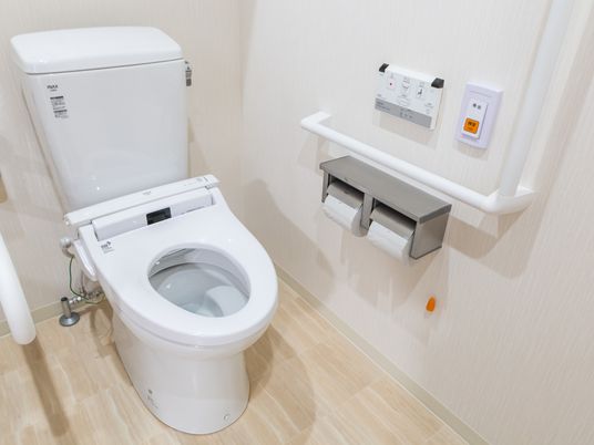 清潔な設備のトイレ