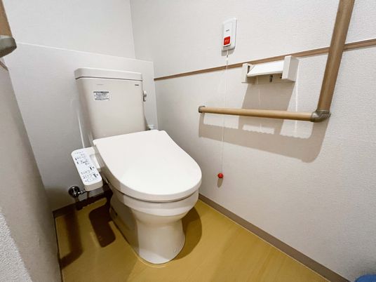 安全な設備のトイレ