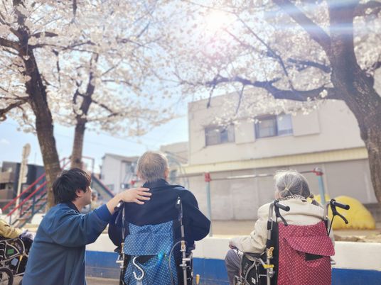 桜並木の屋外