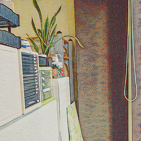植物と資料の棚のスペース