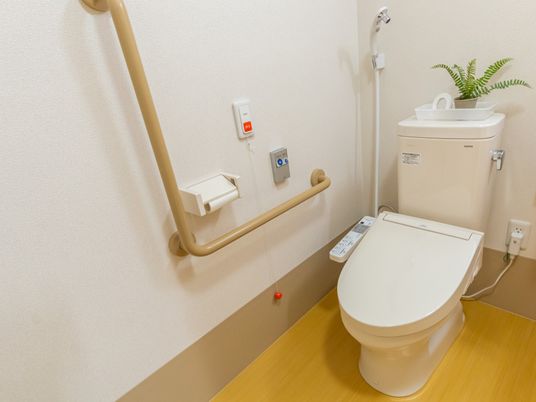 手すり付きの清潔なトイレ