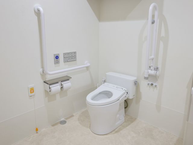 安全に配慮したトイレ トイレ 手すりが設置されたトイレは、安全で使いやすさを考慮した設計になっています。