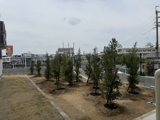 植物が植えられた庭
