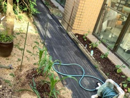 外の通路  