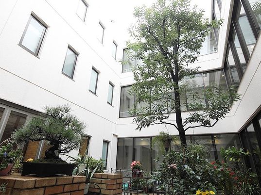 緑溢れる中庭の風景