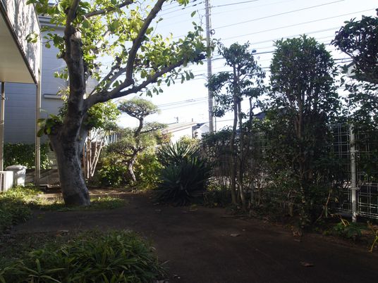 ゆったりとした庭の風景
