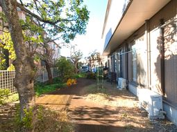 清々しい外観の庭