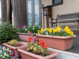 色とりどりの花が咲く中庭