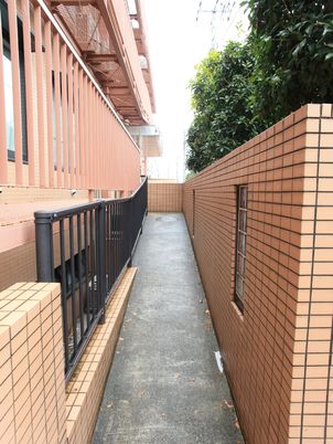 通路と緑の木々