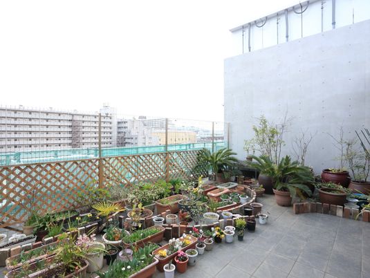 緑豊かな屋上庭園