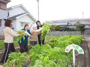農園で野菜を収穫する人々