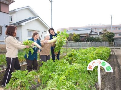 農園で野菜を収穫する人々