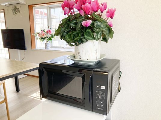 花と電子レンジの居室