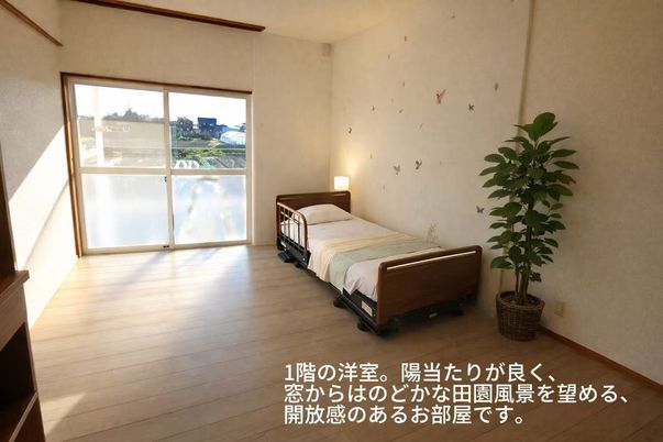 自然光の差し込む居室